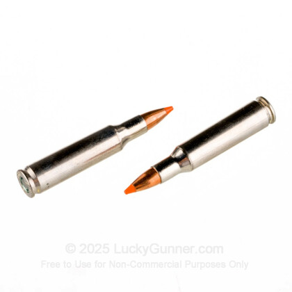 Large image of 222 Rem Premium Varmint Ammo For Sale - 50 gr Nosler Ballistic Tip - Federal Premium Ammo Online