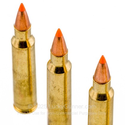 Image 5 of Federal .223 Remington Ammo