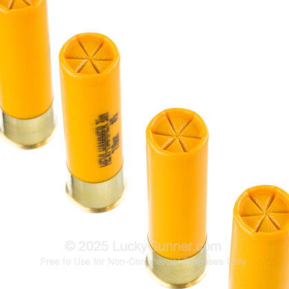 Image 5 of Hevi-Shot 20 Gauge Ammo