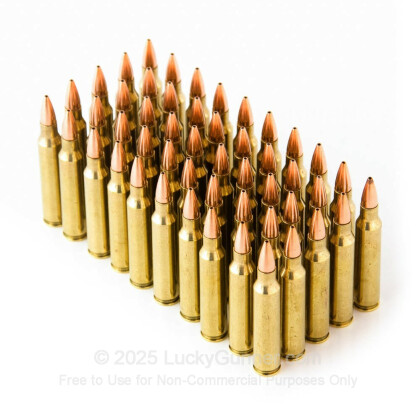 Large image of Cheap 223 Rem Ammo For Sale - 52 Grain HP Remanufactured Ammunition in Stock by Black Hills - 50 Rounds