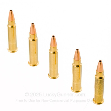 Image 4 of CCI .17 HMR Ammo