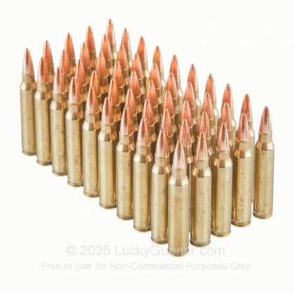 Large image of Premium 223 Rem Ammo For Sale - 62 Grain Barnes TSX Ammunition in Stock by Black Hills - 50 Rounds