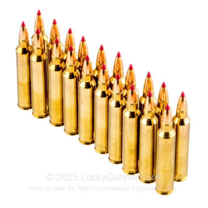 Image 4 of Nosler Ammunition .204 Ruger Ammo