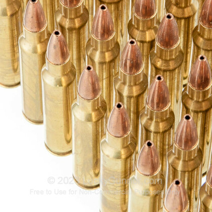 Large image of Bulk 223 Remington Ammo For Sale - 36 Grain Remanufactured Varmint Grenade HP Ammunition in Stock by Black Hills - 500 Rounds