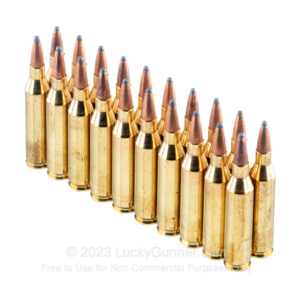 Large image of Bulk 243 Win Ammo In Stock  - 70 gr Fiocchi PSP Ammunition For Sale Online - 200 Rounds
