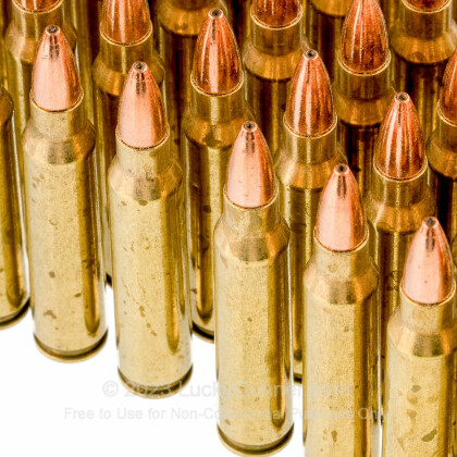 Large image of Premium 223 Remington Ammo For Sale - 55 Grain TSX Ammunition in Stock by Black Hills Ammunition - 500 Rounds