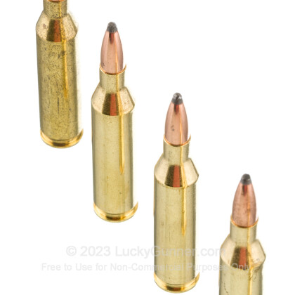 Image 5 of Winchester .243 Winchester Ammo