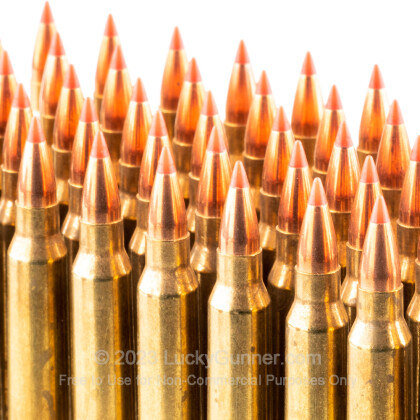 Large image of Bulk 223 Rem Ammo For Sale - 40 Grain V-MAX Ammunition in Stock by Black Hills Ammunition - 500 Rounds