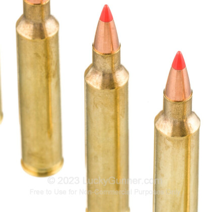 Image 5 of Hornady .204 Ruger Ammo