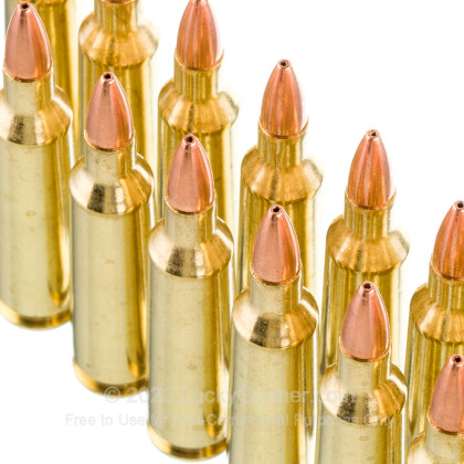 Image 5 of Barnes .22-250 Remington Ammo