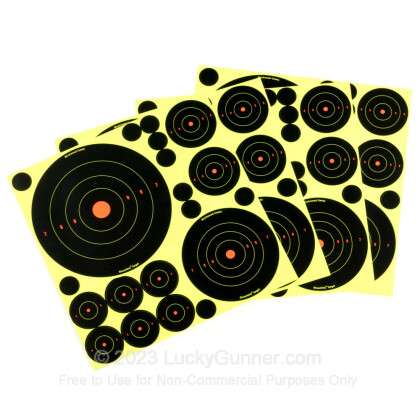 Large image of Shoot NC Targets For Sale - Shoot NC Deluxe Target Kit - Birchwood Casey Targets For Sale