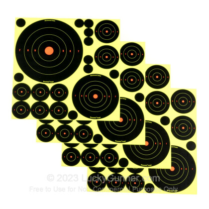 Large image of Shoot NC Targets For Sale - Shoot NC Deluxe Target Kit - Birchwood Casey Targets For Sale