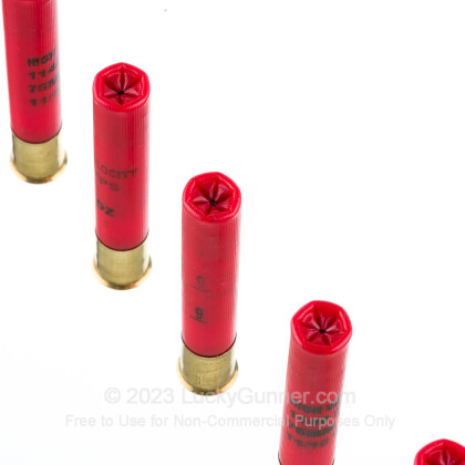 Large image of Bulk 410 Bore Ammo For Sale - 3” 11/16oz. #9 Shot Ammunition in Stock by Fiocchi - 250 Rounds