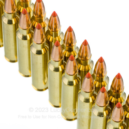Image 5 of Nosler Ammunition .223 Remington Ammo