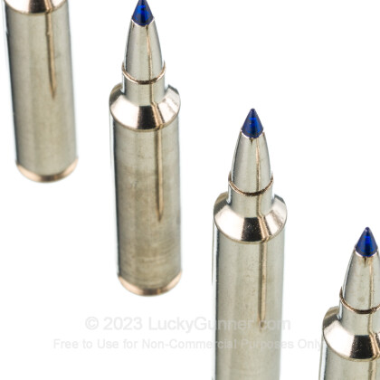 Large image of Premium 28 Nosler Ammo For Sale - 155 Grain Terminal Ascent Ammunition in Stock by Federal - 20 Rounds