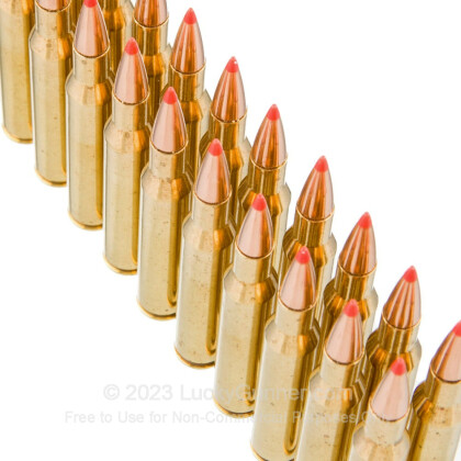Large image of Premium 270 Ammo For Sale - 130 Grain Hornady SST Ammunition in Stock by Black Hills - 20 Rounds