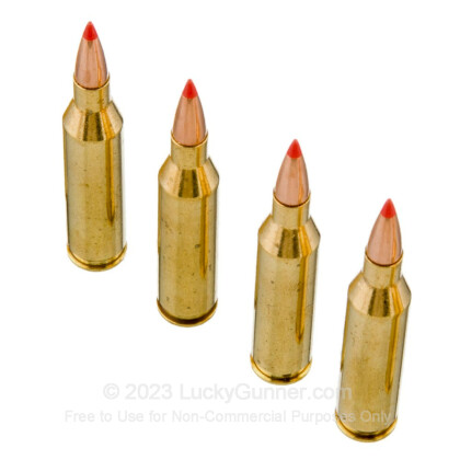 Large image of Premium 243 Ammo For Sale - 95 Grain SST Polymer Tip Ammunition in Stock by Black Hills Gold - 20 Rounds
