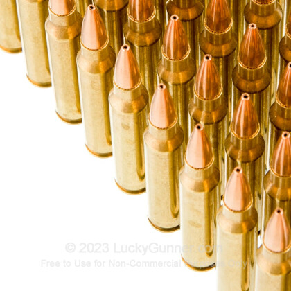Large image of Cheap 223 Rem Ammo For Sale - 77 Grain HP Ammunition in Stock by Black Hills Ammunition - 50 Rounds