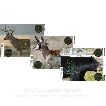 Large image of VisiColor Real Life Reactive Paper Targets For Sale - 12 - 18” x 12” - Champion Targets For Sale