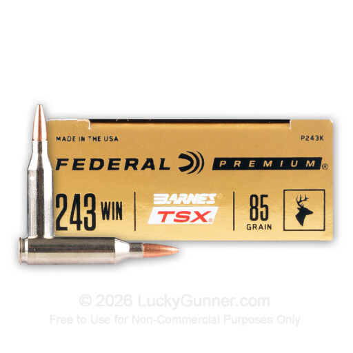 243 - 85 Grain Barnes TSX - Federal - 20 Rounds