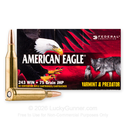 243 - 75 Grain JHP - Federal Varmint & Predator - 40 Rounds
