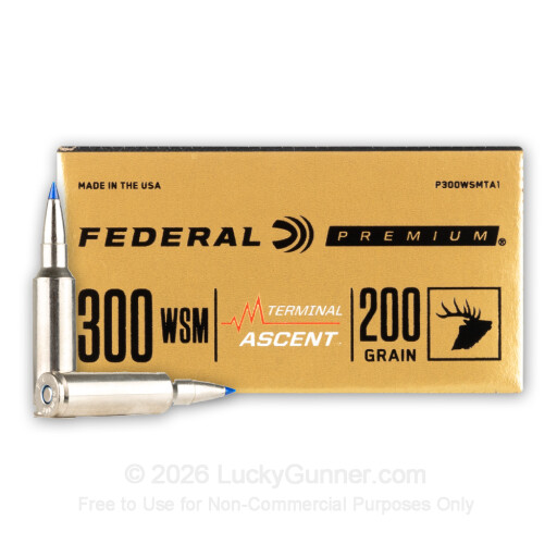 300 WSM - 200 Grain Terminal Ascent - Federal - 20 Rounds