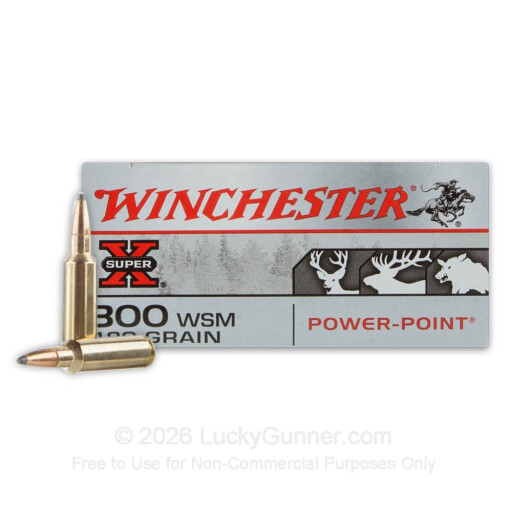 300 WSM - 180 Grain Power-Point - Winchester Super-X - 20 Rounds