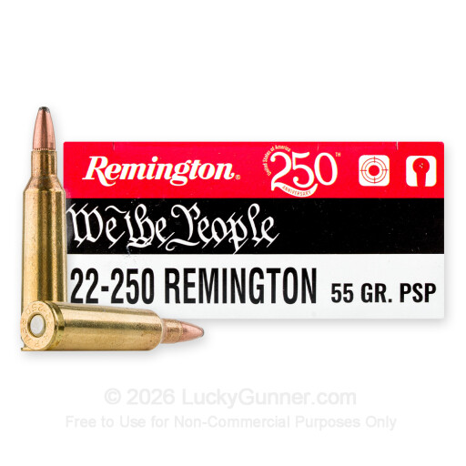 22-250 - 55 Grain PSP - Remington We The People - 20 Rounds