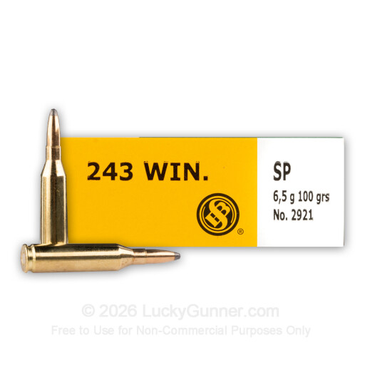 243 - 100 Grain SP - Sellier & Bellot - 20 Rounds