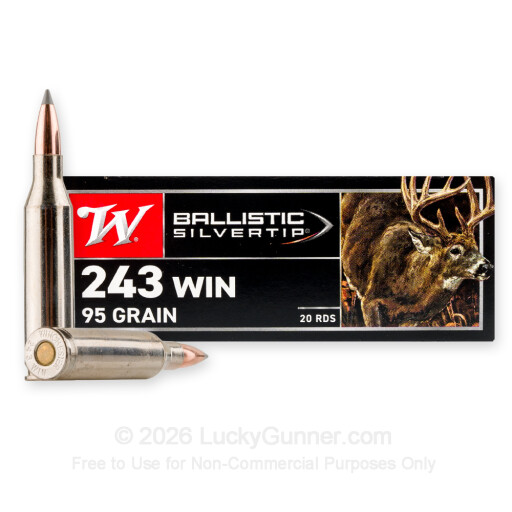 243 - 95 Grain Polymer Tip - Winchester Ballistic Silvertip - 20 Rounds