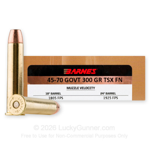45-70 Government - 300 gr Triple-Shock X Hollow Point - Barnes VOR-TX - 20 Rounds