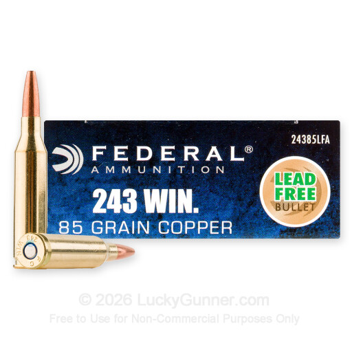 243 - 85 Grain SCHP - Federal Power-Shok Copper - 20 Rounds