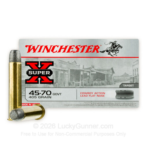 45-70 Government - 405 gr Lead Flat Nose - Winchester - 20 Rounds