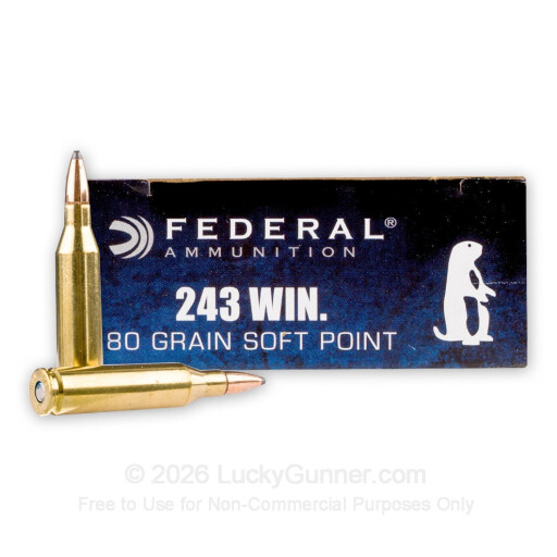 243 - 80 Grain SP - Federal Power-Shok - 20 Rounds