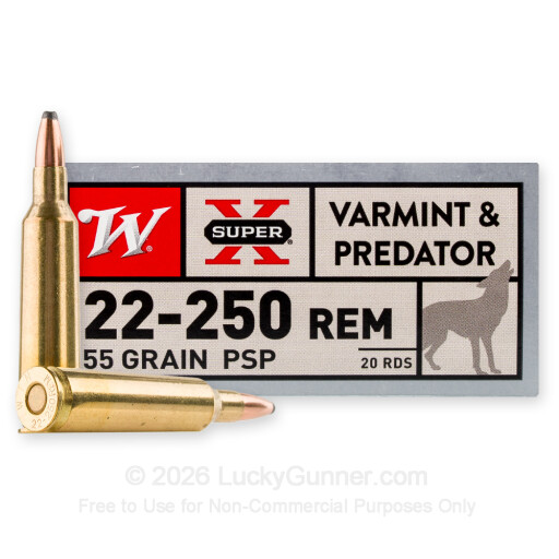 22-250 Rem - 55 Grain Soft Point - Winchester Super X - 20 Rounds