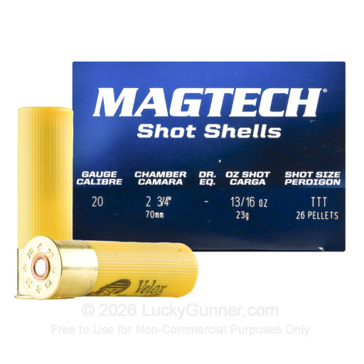20 Gauge - 2-3/4" 13/16oz. F Shot - Magtech - 25 Rounds