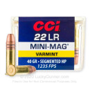 Premium 22 LR Ammo For Sale - 40 Grain SHP Ammunition in Stock by CCI Mini-Mag - 100 Rounds