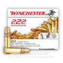 Cheap .22LR Ammo For Sale – 36 Grain Copper Plated Hollow Point Ammunition in Stock by Winchester – 222 Rounds