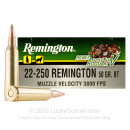 Premium 22-250 Ammo For Sale - 50 Grain AccuTip-V Ammunition in Stock by Remington Premier - 20 Rounds