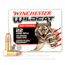 Bulk 22 LR Ammo For Sale - 40 Grain CPHP Ammunition in Stock by Winchester Wildcat - 5000 Rounds