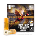 Premium 20 Gauge Ammo For Sale - 2-3/4” 1oz. #5 Shot Ammunition in Stock by Federal Prairie Storm FS Lead - 25 Rounds