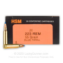 Premium 223 Rem Ammo For Sale - 55 Grain BlitzKing Ammunition in Stock by HSM Varmint - 20 Rounds