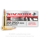 Cheap 22-250 Rem Winchester Ammo For Sale - 55 gr Soft Point Ammunition In Stock by Winchester Super-X - 20 Rounds