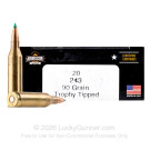 243 - 90 Grain Trophy Tipped - Armscor USA - 200 Rounds