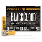 20 Gauge - 3" 1oz. #2 Steel Shot - Federal Black Cloud FS Steel - 25 Rounds