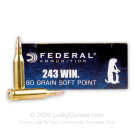 243 - 80 Grain SP - Federal Power-Shok - 20 Rounds