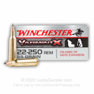 22-250 Rem - 55 gr Polymer Tip - Winchester Varmint X - 20 Rounds