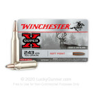 243 - 100 Grain PP - Winchester Super-X - 20 Rounds