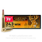 243 - 85 Grain Copper Extreme Point - Winchester Copper Impact - 20 Rounds