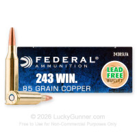 243 - 85 Grain SCHP - Federal Power-Shok Copper - 20 Rounds